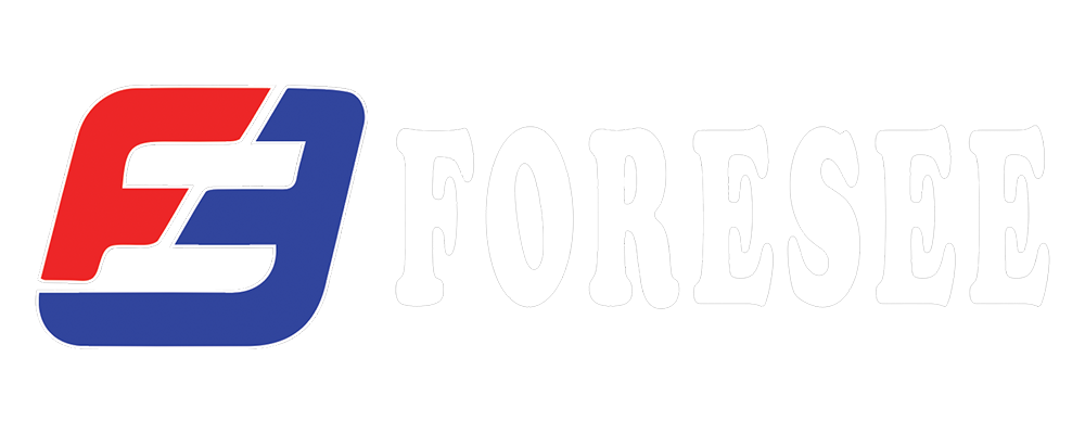 Foresee Electronics Inc